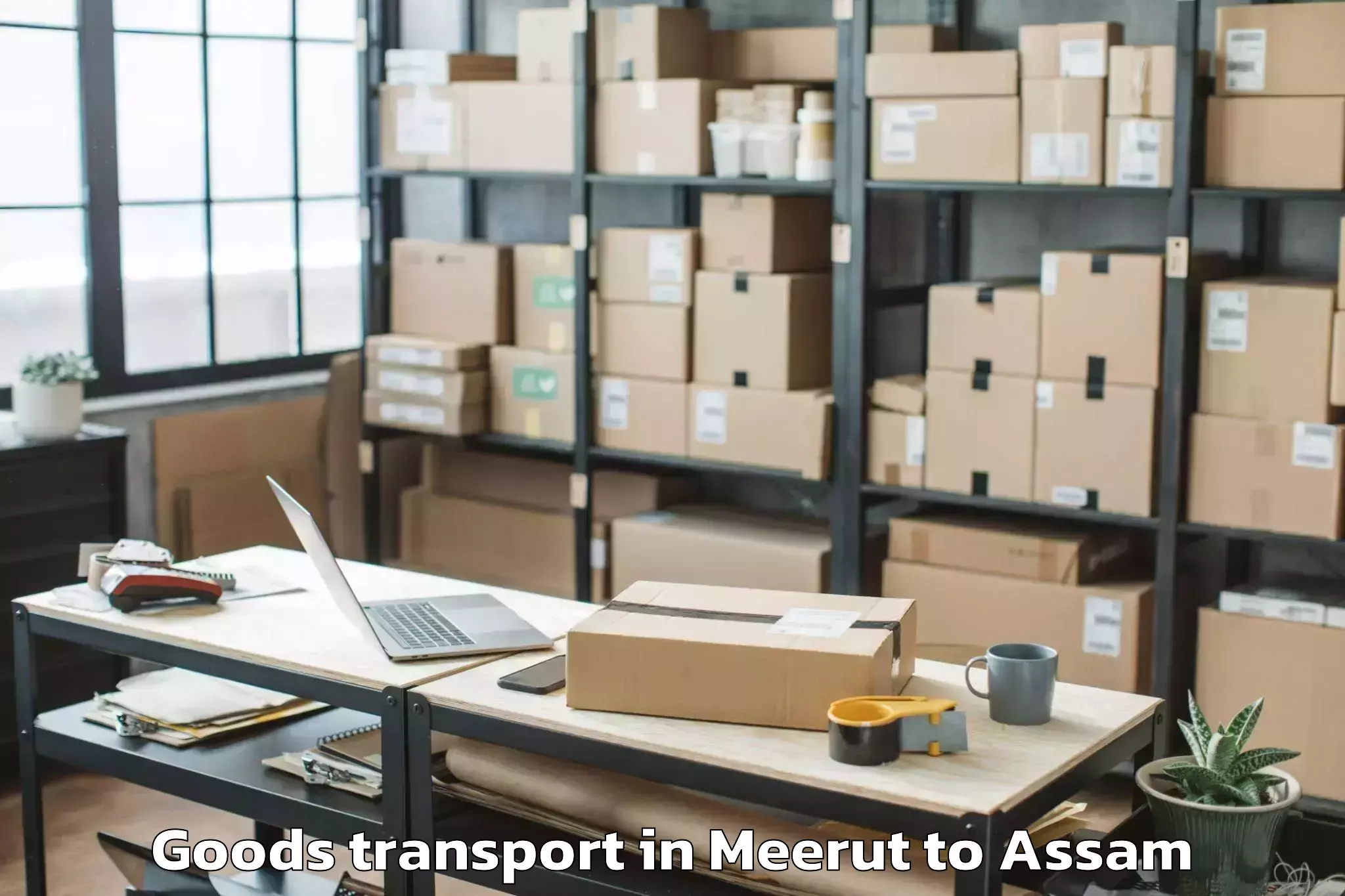 Discover Meerut to Duliajan Goods Transport